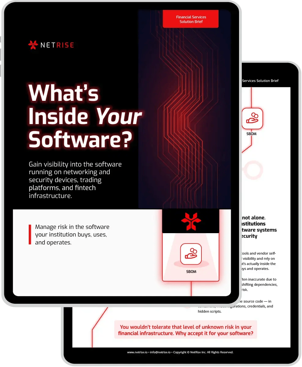 netrise-finserv-enterprise-solution-brief-ft