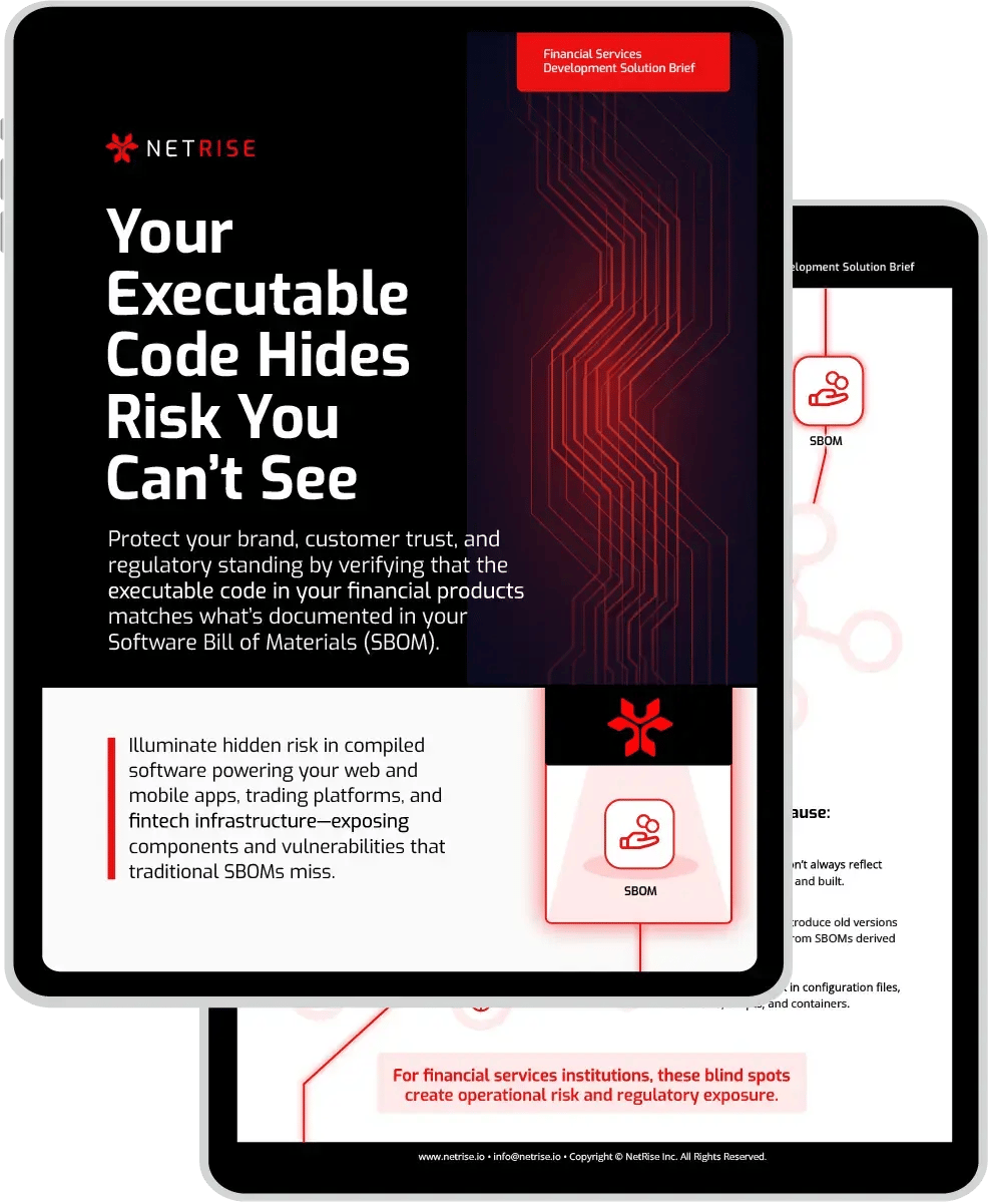 netrise-finserv-oem-solution-brief-ft