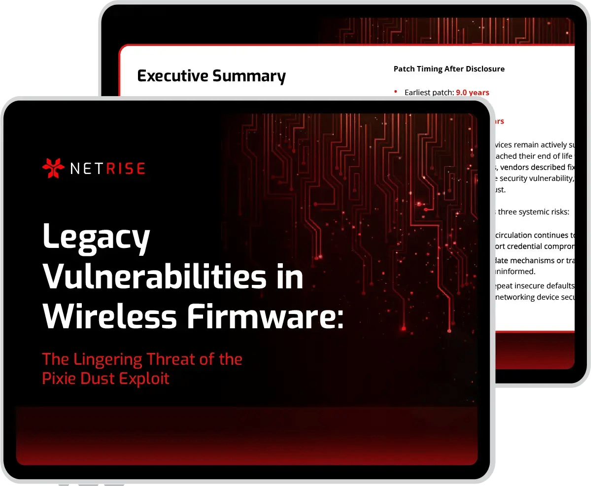 netrise-pixie-dust-report-ft