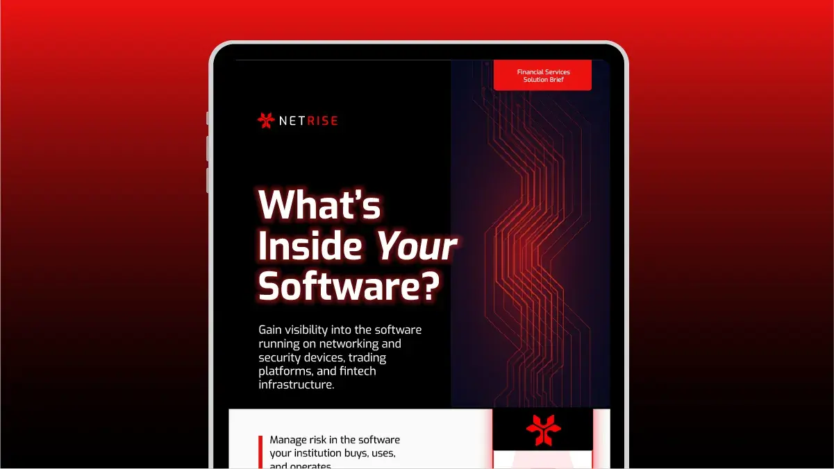 NetRise for Financial Services — Enterprise Software Supply Chain Visibility