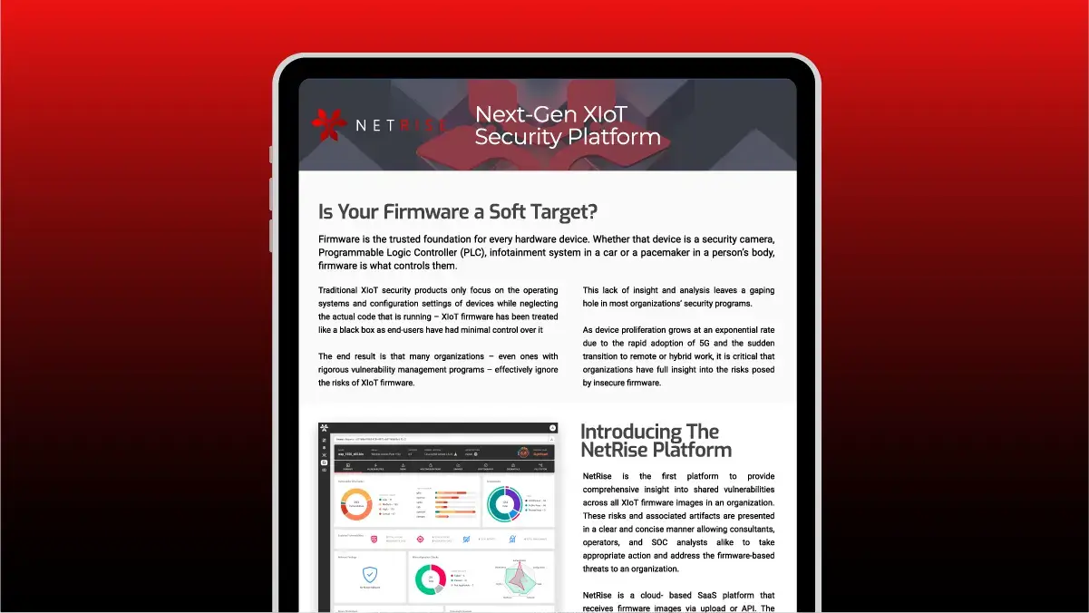 NetRise: Deep Visibility into Firmware Vulnerabilities