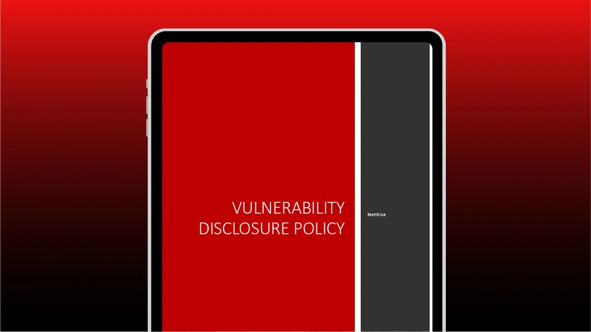 NetRise Policy on Software Vulnerability Disclosure